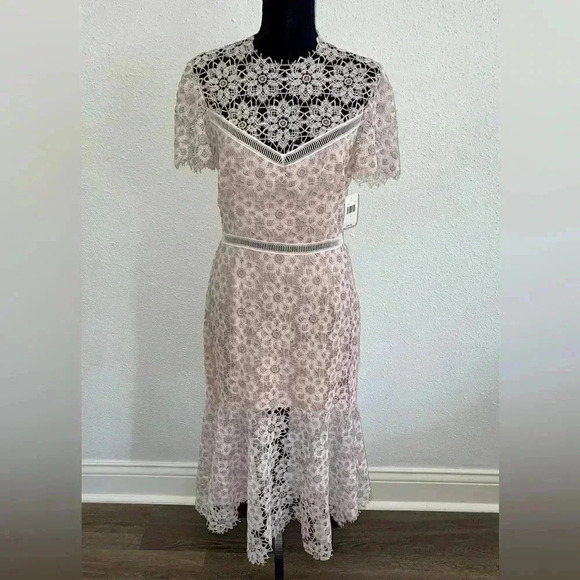 🌷 Host Pick 🌷 NWT! SAYLOR Lillie Dress in Ivory and Blush - Size Large - Picture 4 of 10